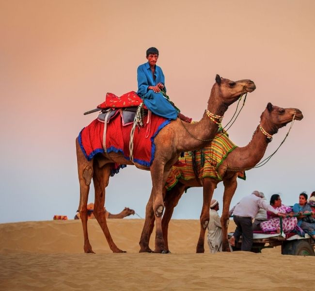 Thar Desert Camel Ride - Golden Triangle Tour with Jaisalmer
